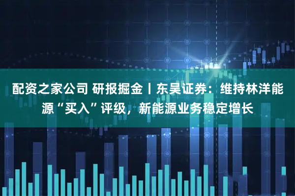 配资之家公司 研报掘金丨东吴证券：维持林洋能源“买入”评级，新能源业务稳定增长